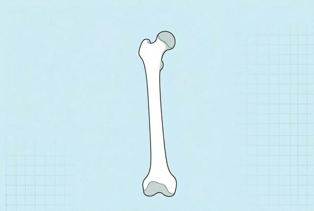 高血糖にさらされると糖化する骨